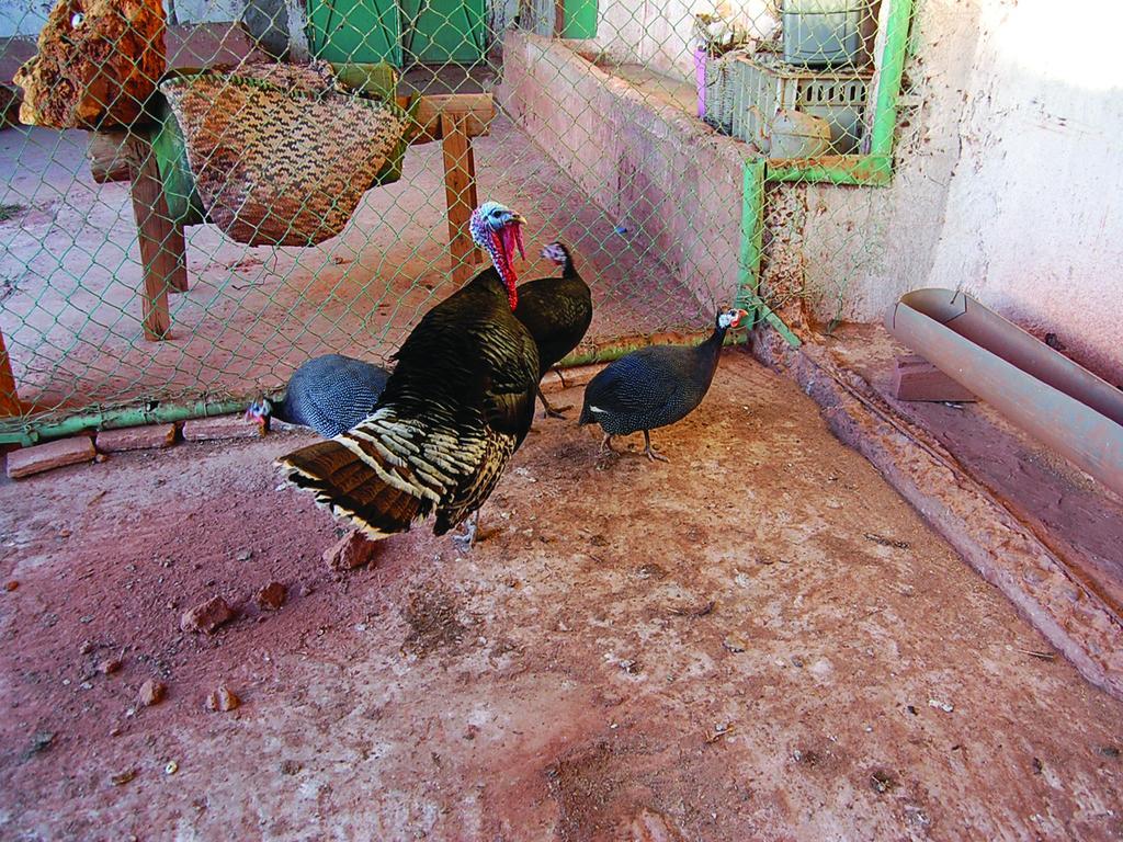 Gite Souss Oulad Teïma Dış mekan fotoğraf