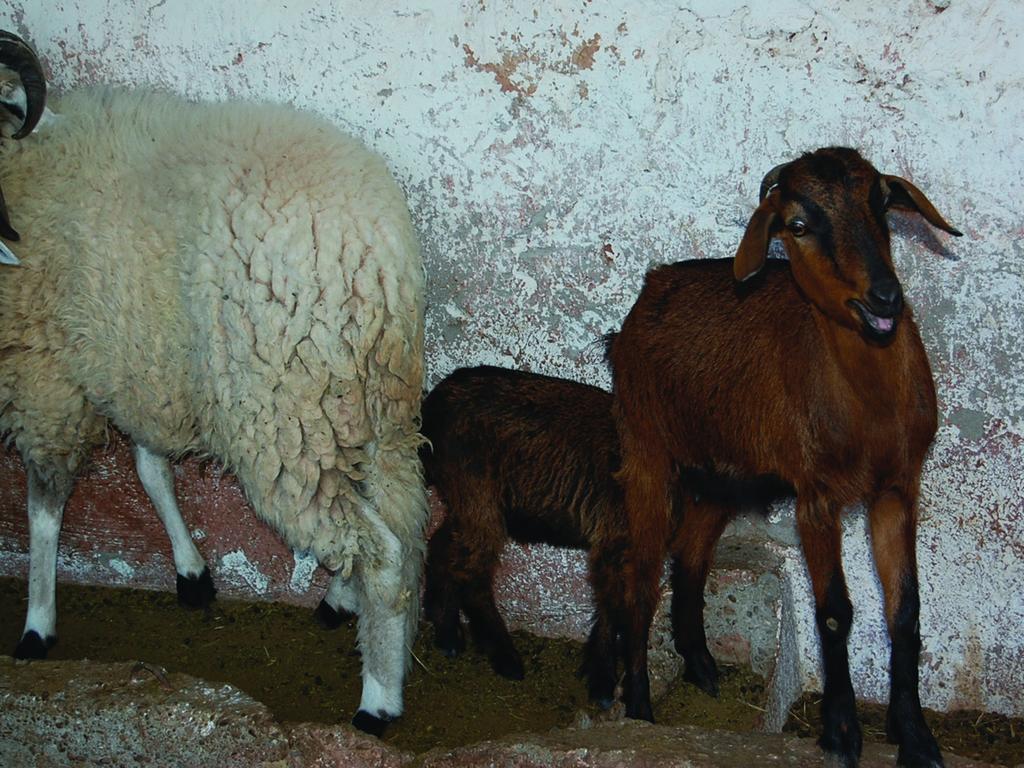 Gite Souss Oulad Teïma Dış mekan fotoğraf