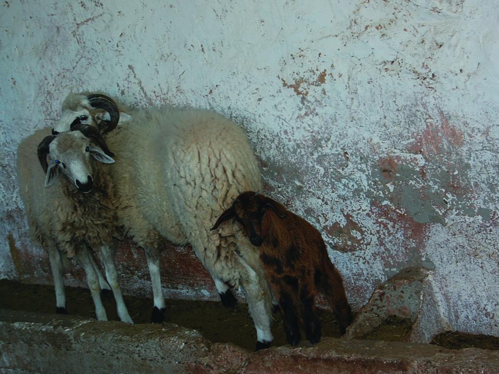 Gite Souss Oulad Teïma Dış mekan fotoğraf