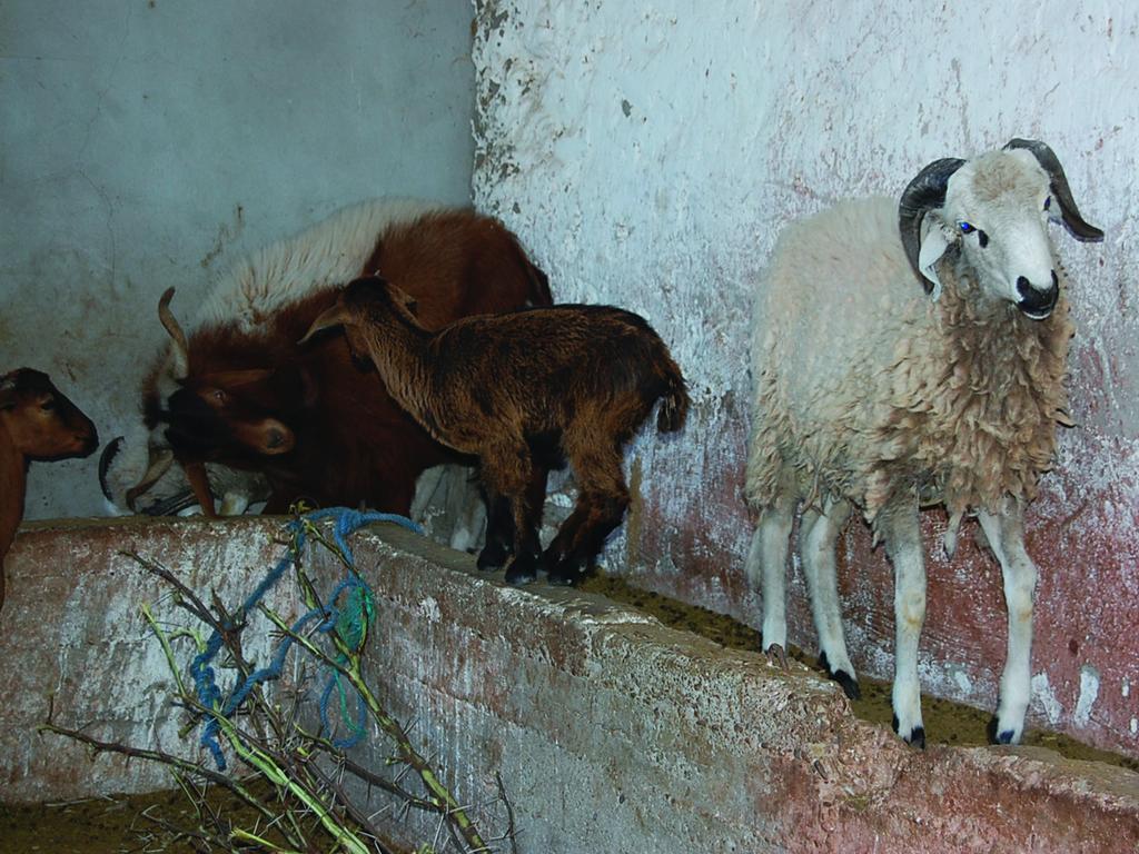 Gite Souss Oulad Teïma Dış mekan fotoğraf