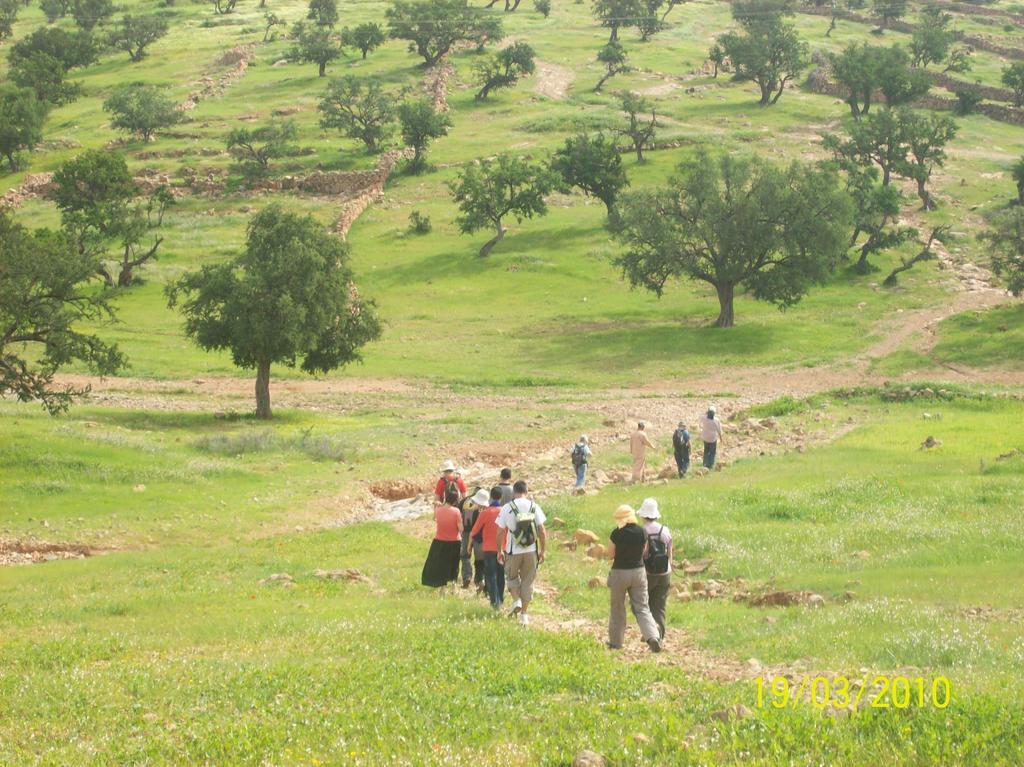 Gite Souss Oulad Teïma Dış mekan fotoğraf